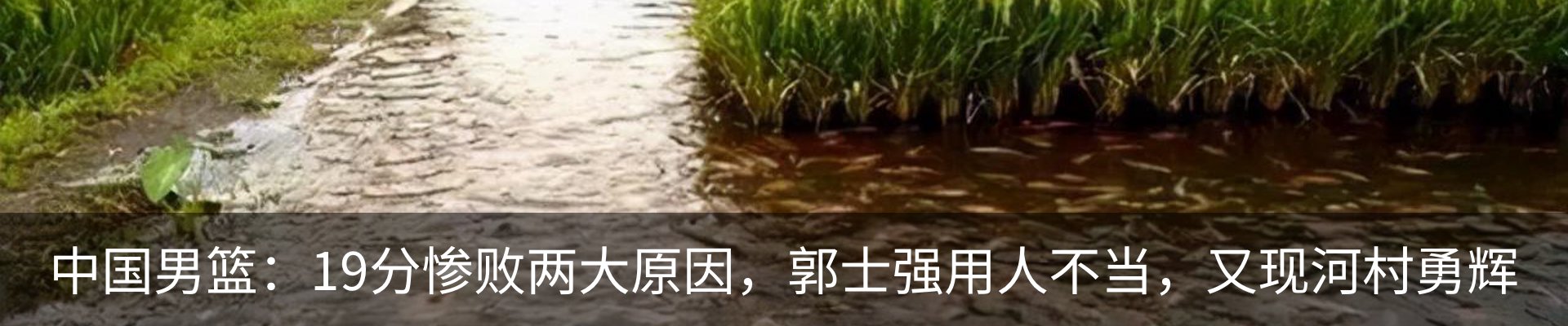 内页banner
