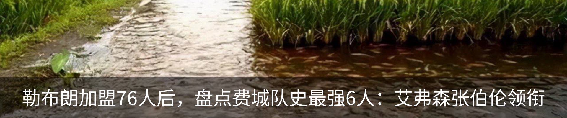 内页banner